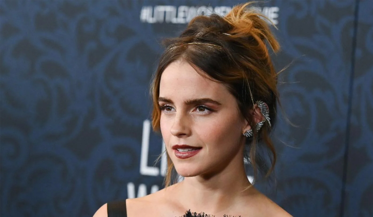 Israel's UN envoy lashes out after Emma Watson expresses support for Palestinians
